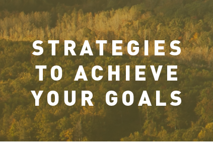 Strategies  to achieve  your goals.png